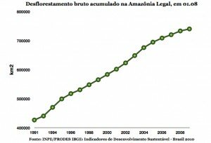 Desmatamento bruto
