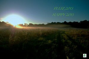 HAPPY 2013